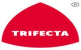 TRIFECTA PROJECTS PRIVATE LIMITED