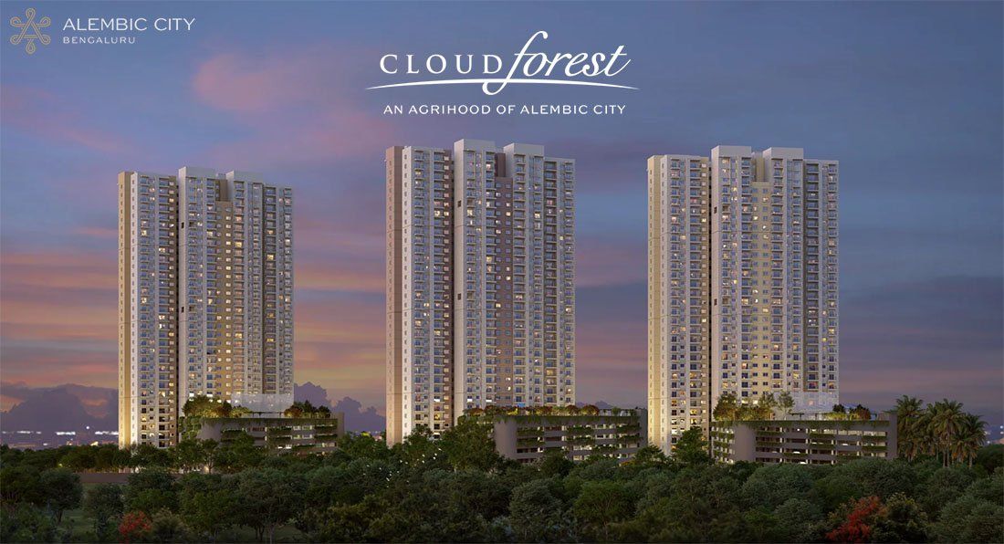 Alembic Cloud Forest