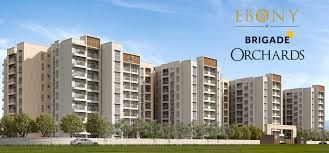 Ebony At Brigade Orchards