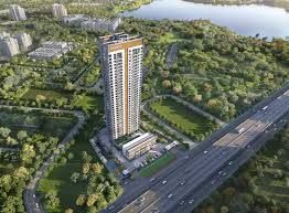 Concorde Eleve