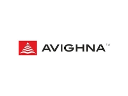 Avighna Group