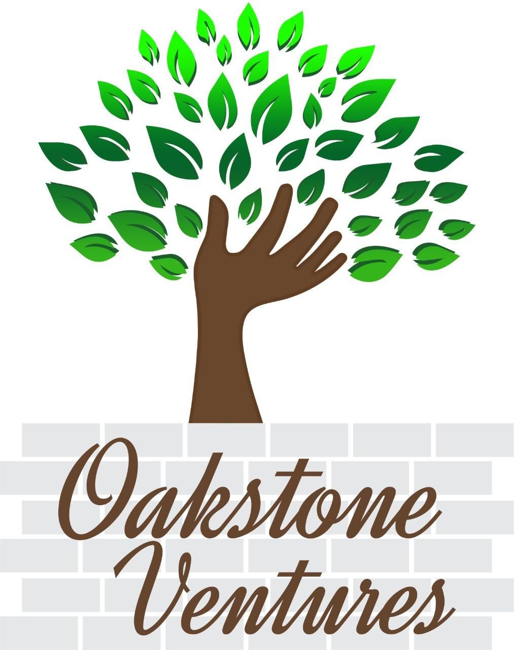 Developer Logo
