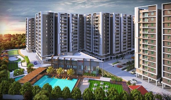 Prestige Evergreen
