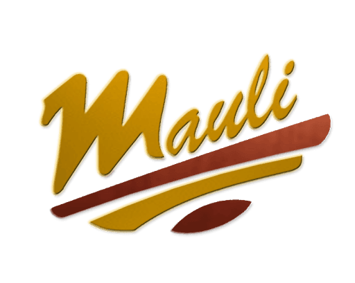 Developer Logo