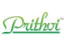 Prithvi Group