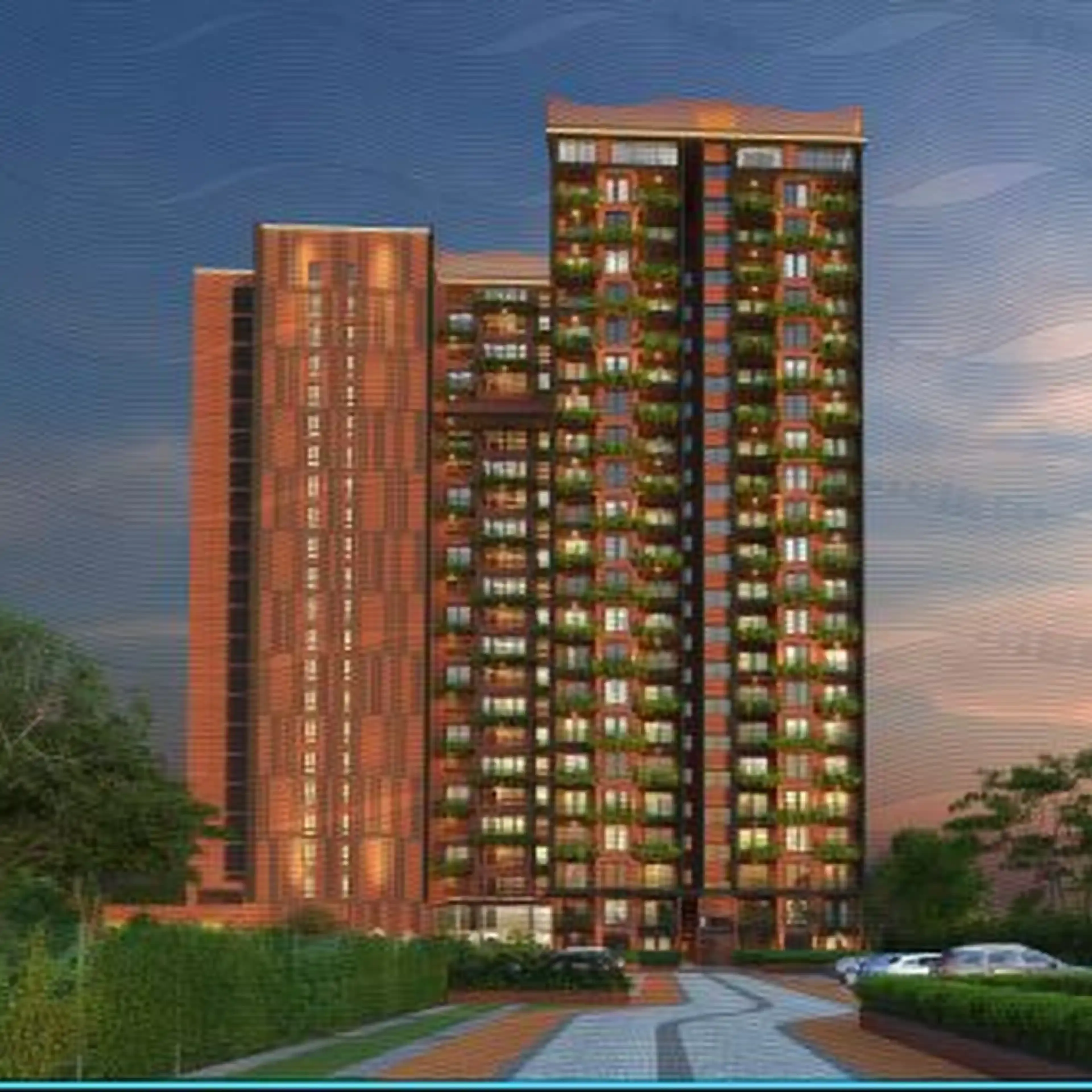 CoEvolve Misty Shores