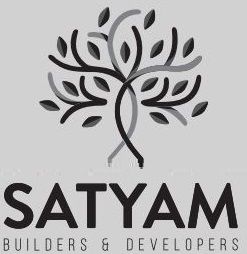 Developer Logo