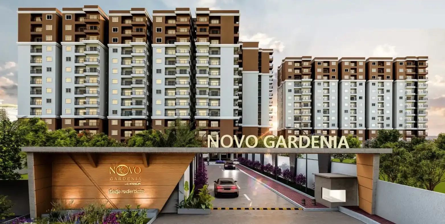 Candeur Novo Gardenia