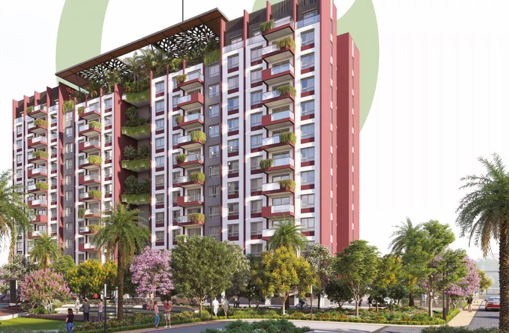 Cynosure Sunny Groves