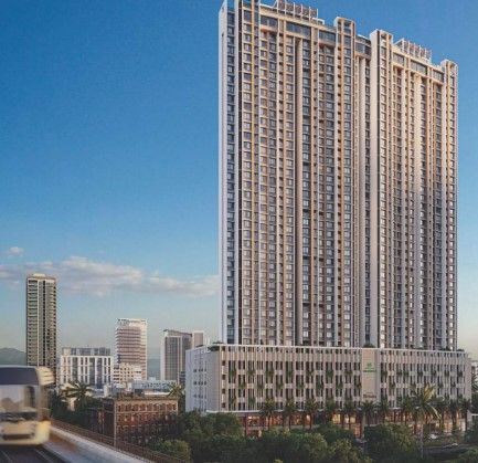 Delta Greenville Aster